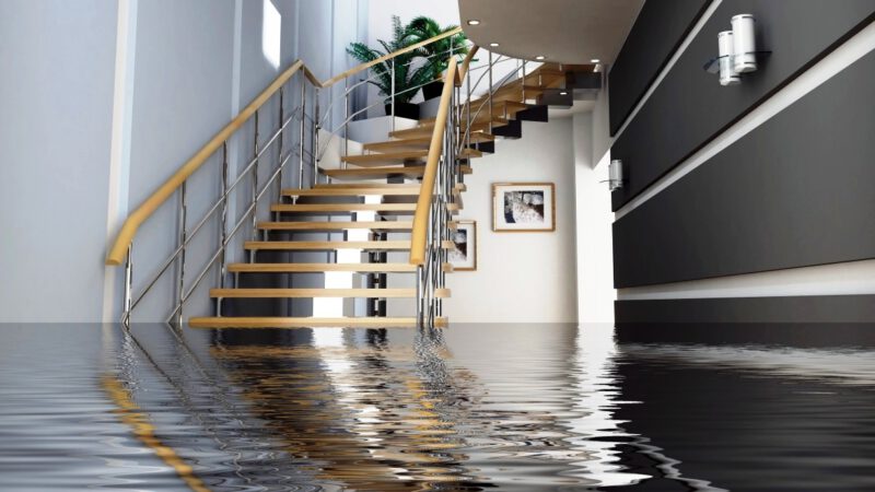 The Importance of Water Damage Restoration