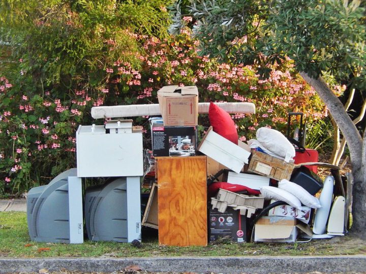 Questions You Should Ask Before Hiring a Junk Removal Service